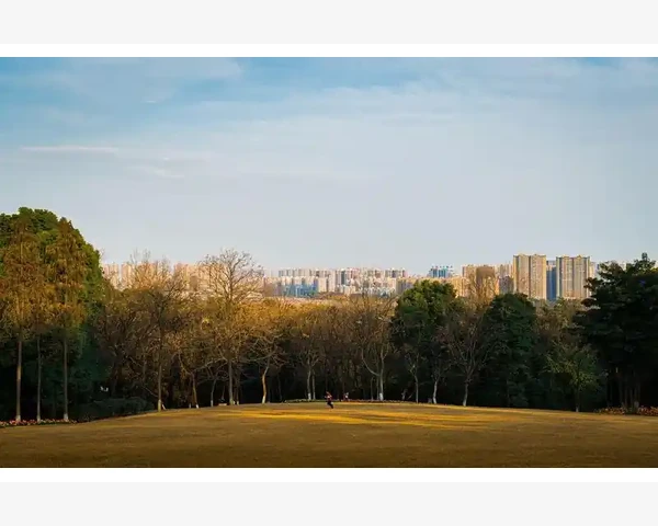 B2B供应信息发布平台实用操作全流程