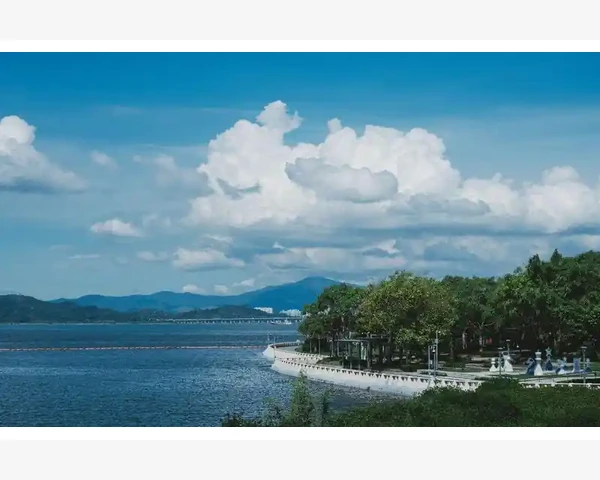 男性不育症：中医能否为你找回生育之路？